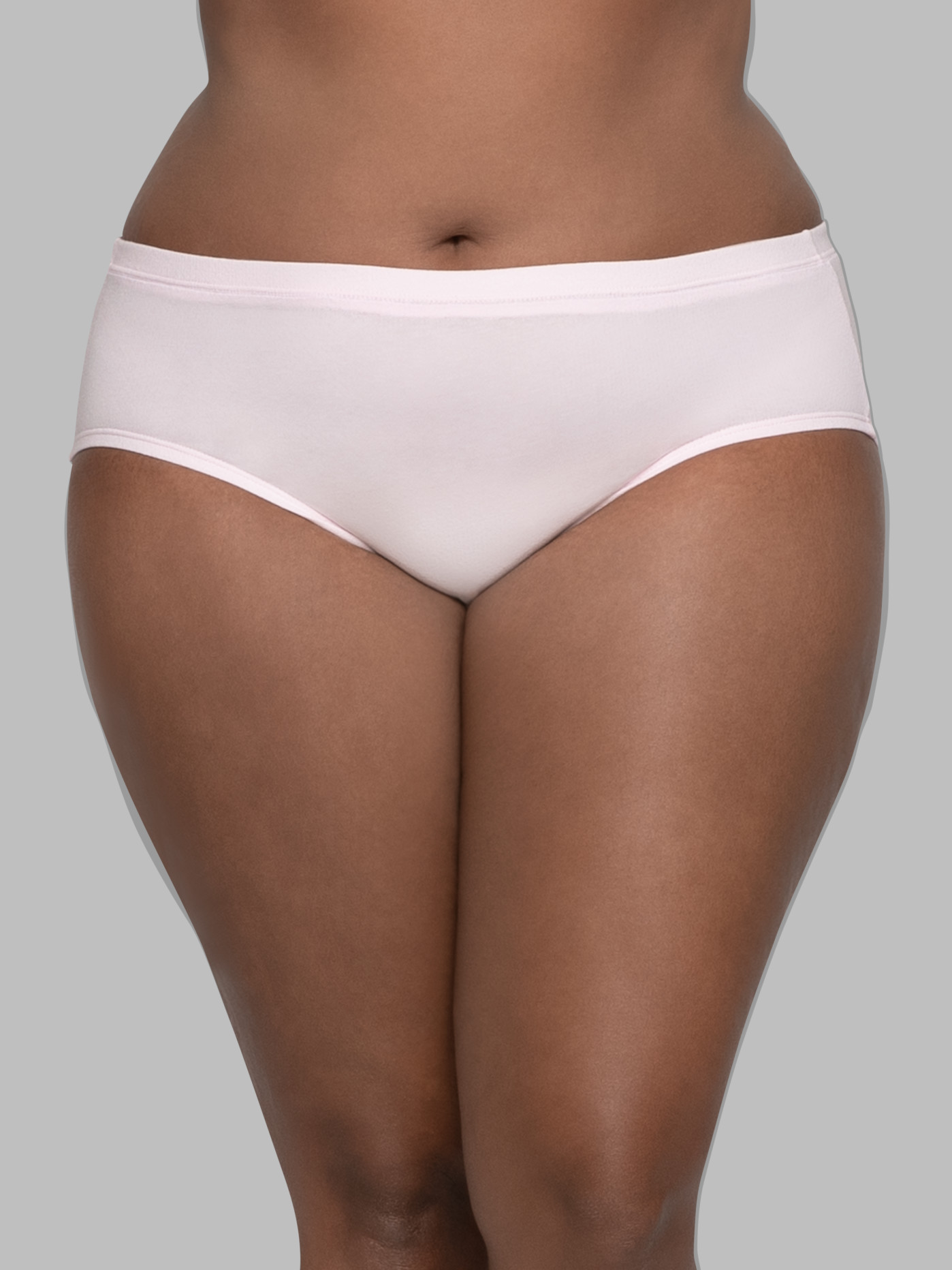 Fruit of the Loom Women's Underwear Breathable Panties (Regular & Plus,  Plus Size Brief-Micro Mesh-10 Pack, 9 